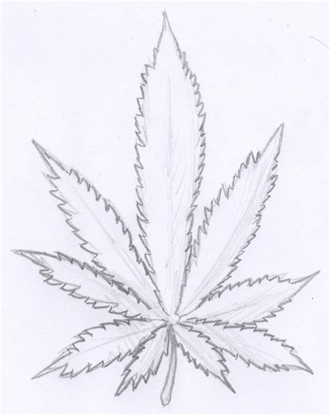 Marijuana Leaf Sketch at PaintingValley.com | Explore collection of ...