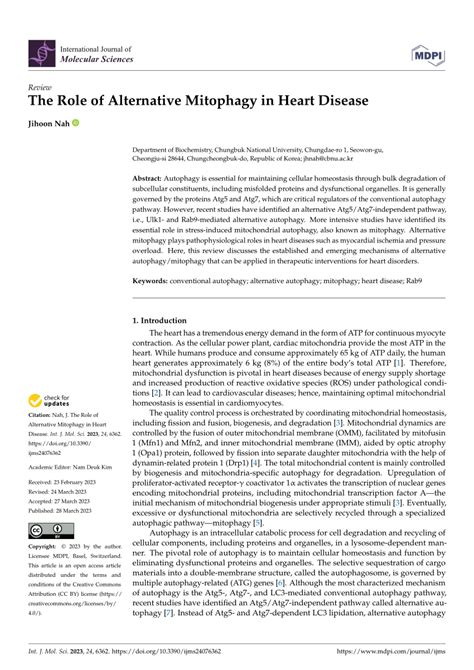 (PDF) The Role of Alternative Mitophagy in Heart Disease