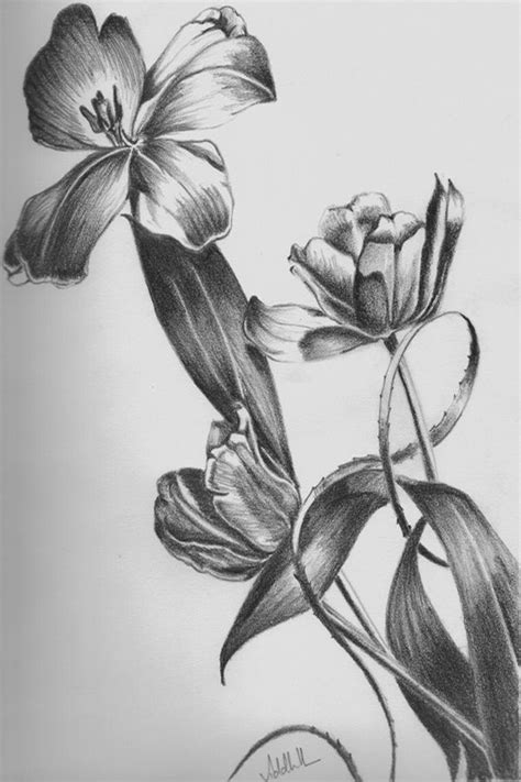 50 Easy Flower Pencil Drawings For Inspiration Flower Sketch Pencil ...