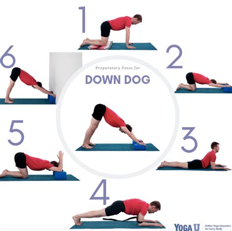 Master the Fundamentals: Downward Facing Dog Beginner for Yoga Novices