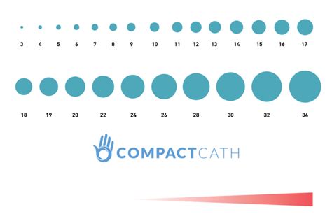 Urinary Catheter Sizes Condom Catheter, Foley Size Charts, 52% OFF