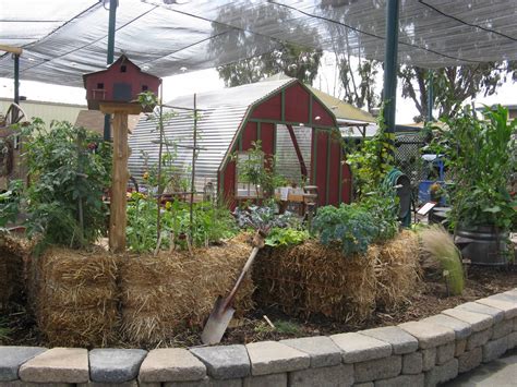 The Green Truth: Hay Bale Gardening