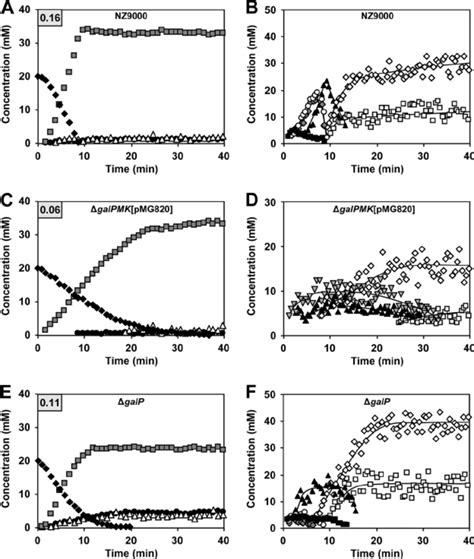 Metabolism of galactose in suspensions of nongrowing cells of L. lactis ...