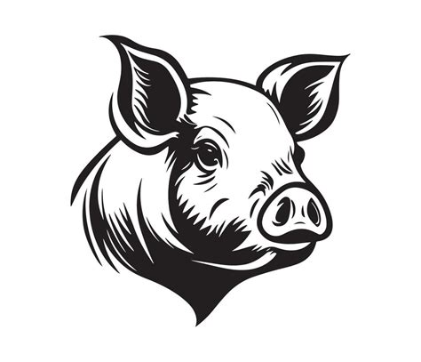 Pig Face, Silhouettes Pig Face, black and white Pig vector 22666812 Vector Art at Vecteezy