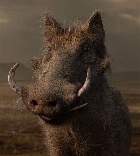 Pumbaa (2019 film) | The Lion King Wiki | FANDOM powered by Wikia