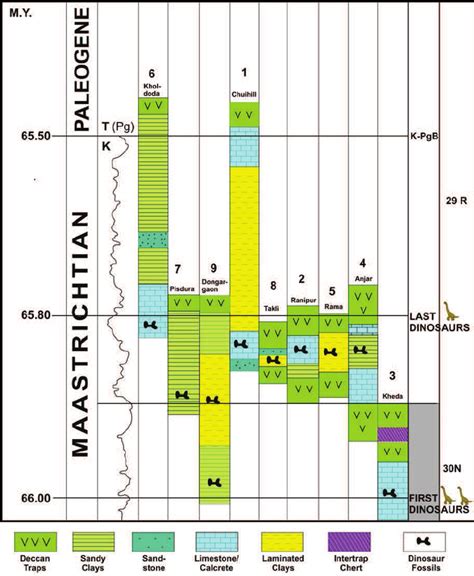 Sections showing different late Cretaceous (Maastrichtian) dinosaurs... | Download Scientific ...