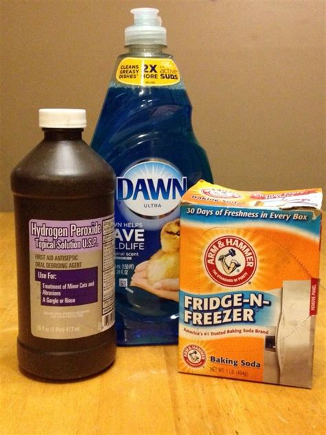 Skunk Removal Recipe Hydrogen Peroxide | Besto Blog