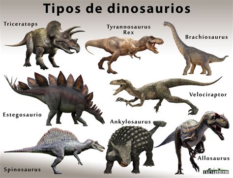 nombres de dinosaurios - Búsqueda de Google | Spinosaurus, Dinosaur, Dinosaur pictures