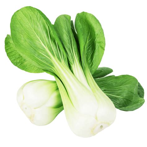 How to Select, Store, and Serve Bok Choy - The Produce Moms