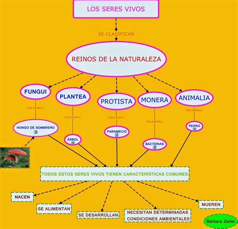 Mapa Mental Caracteristicas Dos Seres Vivos - ASKBRAIN