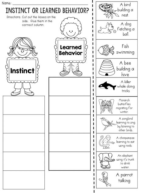 Animal Adaptations Worksheet Pdf