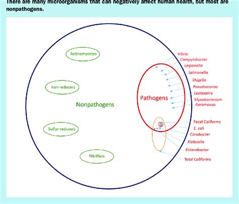 Heterotrophic Plate Count (Total Bacteria Count) | Download Scientific Diagram