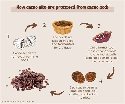 What Are Cacao Nibs? Nutrition, Benefits, Uses And Recipes, 55% OFF