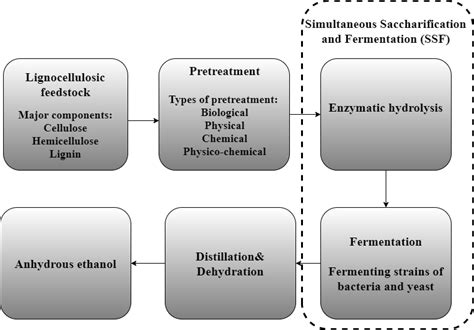 Major steps in bioethanol production | Download Scientific Diagram