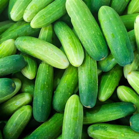 6 Popular Cucumber Varieties and How to Use Them