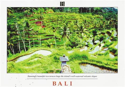 Postcards on My Wall: Cultural Landscape of Bali Province: the Subak ...