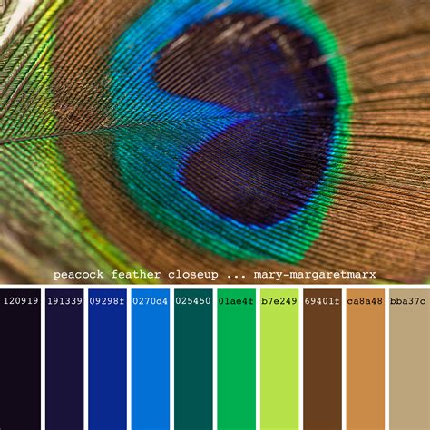 Pin by Megan Nordyke on Sewing | Brown color palette, Green colour palette, Peacock color scheme