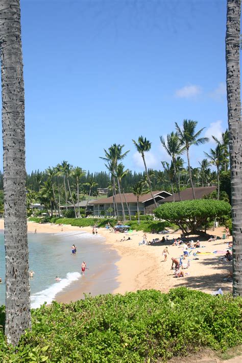 Napili Bay | Maui Guidebook