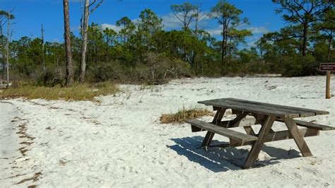 St. George island State Park - Primitive camping | State parks, Island ...