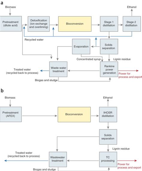 Biofuel production processes.(a) Schematic diagram of scenario 1:... | Download Scientific Diagram