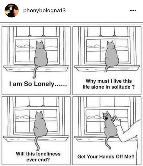 Lonely Cat. #catcartoon #lonelycat #angrycat #bamboozle #bamboozled #animalsinpredicaments