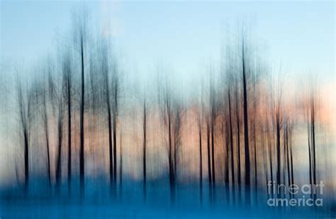 Abstract winter trees Photograph by Oscar Gutierrez | Fine Art America