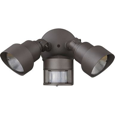 Acclaim Lighting 2-Light Architectural Bronze Integrated LED Adjustable Head Floodlight With ...