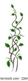 Vines Border Vector Stock Vector (Royalty Free) 2264166 | Shutterstock