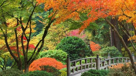 Portland Japanese Garden Wallpapers - Top Free Portland Japanese Garden Backgrounds ...