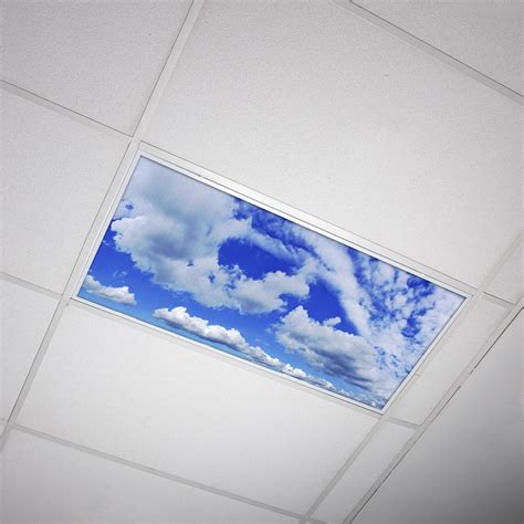 Octo Lights - Fluorescent Light Covers - 2x4 Flexible Ceiling Light Diffuser Panels - Decorative ...