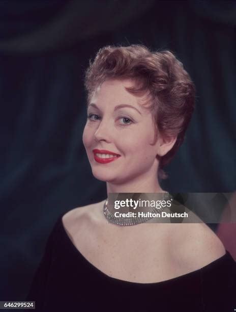 353 Hazel Court Photos & High Res Pictures - Getty Images