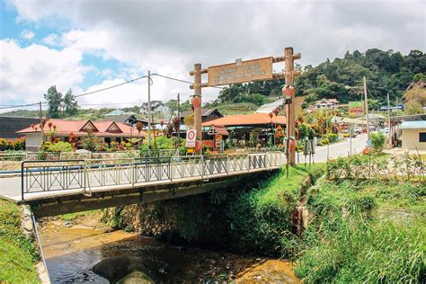 Cameron Highlands attractions: the ultimate travel guide - CK Travels