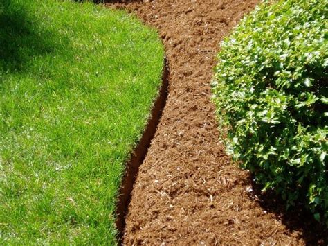 Flower Bed Curbing Cost | Best Flower Site