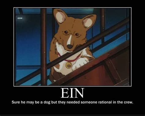 Pin by Chilletid on The Wolves | Cowboy bebop, Anime motivational posters, Violet evergarden anime