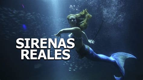 Sirenas reales captadas en video, 2016 | Doovi