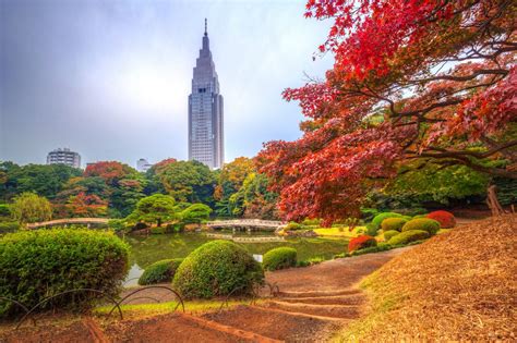 9 of the Finest Parks in Tokyo, Japan