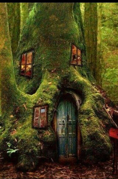 Casa árbol | Fantasy | Beautiful tree houses, Cool tree houses, Fairy houses