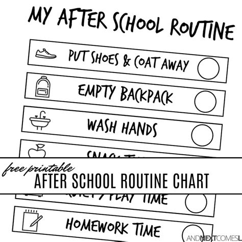 School Routine