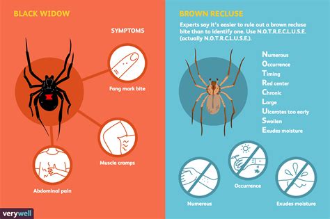 Black Widow Spider Bite Effects - DavidLinquist