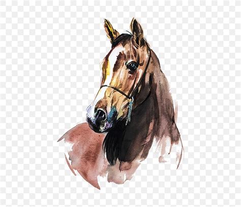 Arabian Horse Watercolor Painting Art, PNG, 550x707px, Arabian Horse ...