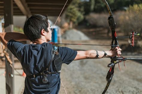 Compound Bow Arrows Guide – Carbon Arrow Selection & Research