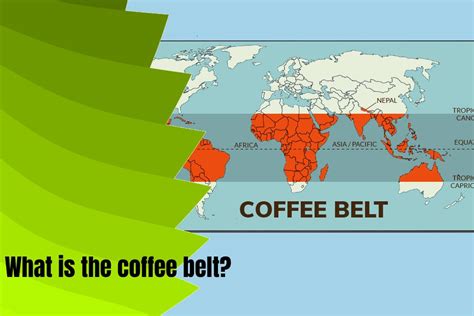 What Is The Coffee Belt And Where Is It Located?