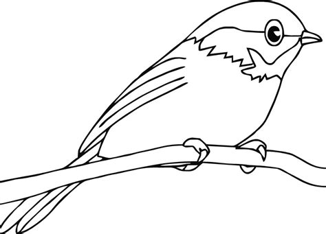 Robin Coloring Pages Animated Coloring Pages