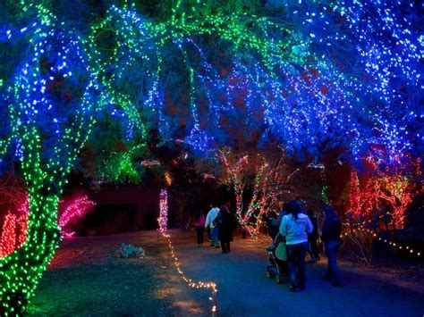 Phoenix Zoo Holding Drive-Thru ZooLights During The Holidays | Phoenix ...