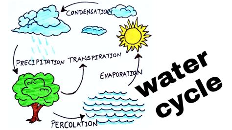 Water cycle/ how to draw water cycle/diagram of water cycle/easy water cycle diagram/science ...