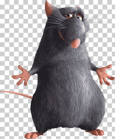 Django Ratatouille Anton Ego Animation, RATATUILLE, mammal, mouse, film ...