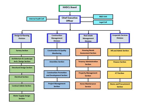 Organogram Template Infographic