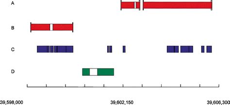 Assessing the Drosophila melanogaster and Anopheles gambiae Genome Annotations Using Genome-Wide ...