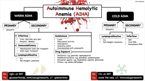 Autoimmune Hemolytic Anemia Treatment