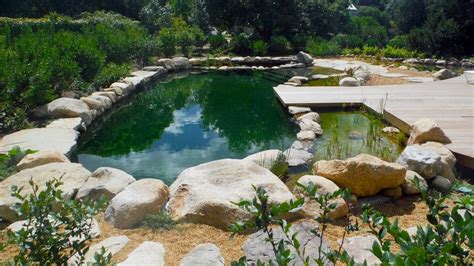 California Natural Pools | North America's Natural Swimming Pools Experts